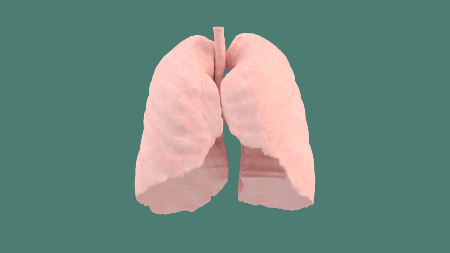 Promoting Patient Self-Management with an Asthma Action Plan